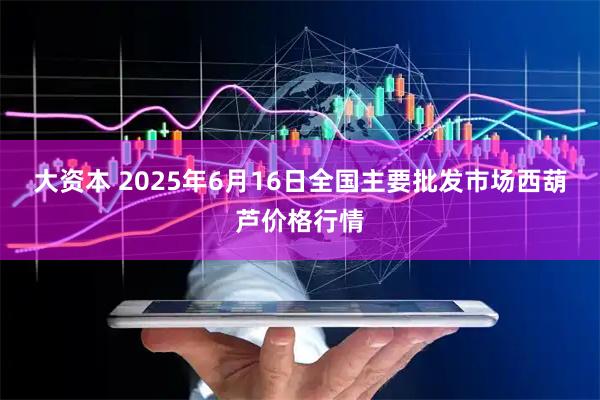 大资本 2025年6月16日全国主要批发市场西葫芦价格行情