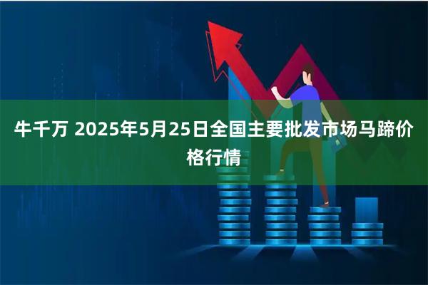 牛千万 2025年5月25日全国主要批发市场马蹄价格行情