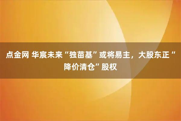 点金网 华宸未来“独苗基”或将易主，大股东正“降价清仓”股权